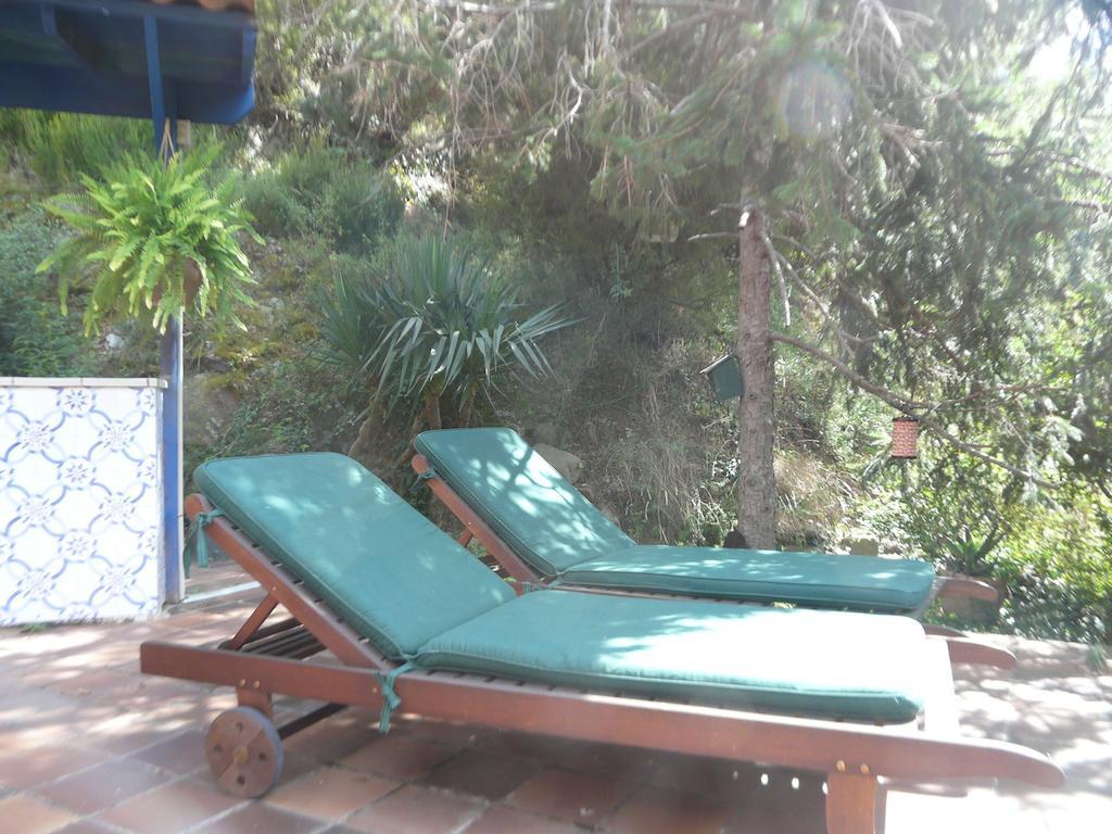 Hostal L'Ou De Reig Montseny Ngoại thất bức ảnh